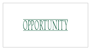 OPPORTUNITY GESTORA DE RECURSOS